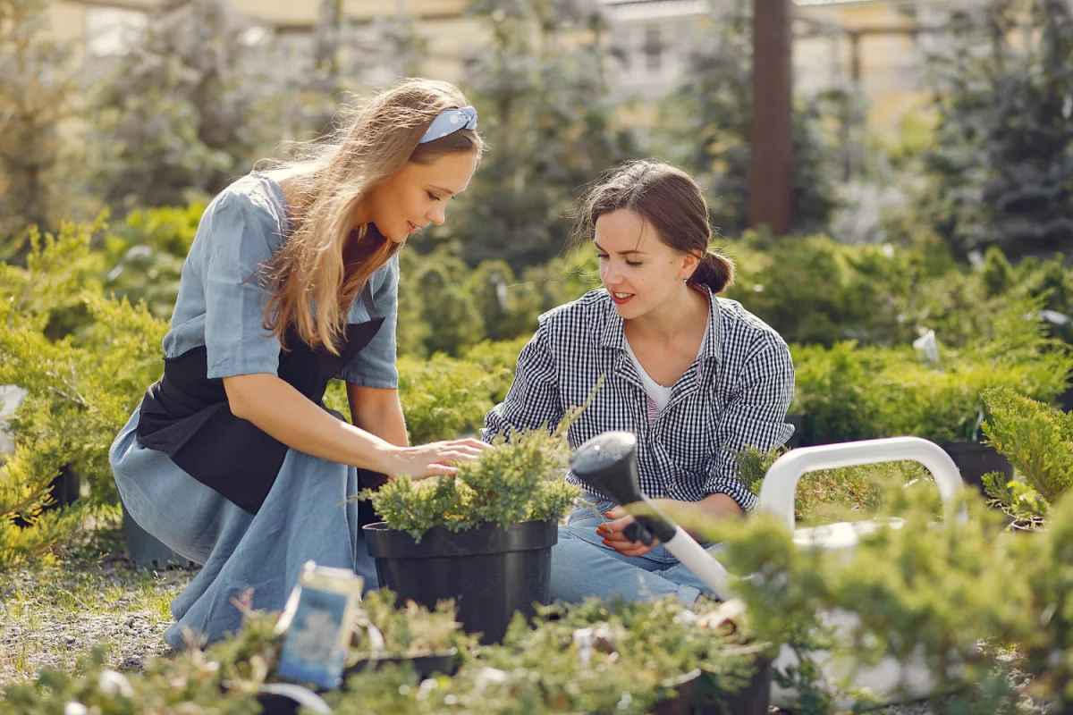 Podatki w Łotwie: Przewodnik po systemie podatkowym i jego wpływie na gospodarkę