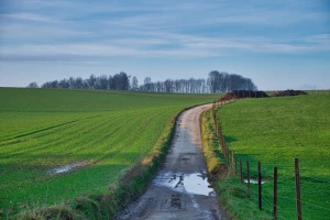 Korzyści dla przedsiębiorstw z portalu dla firm - jak zwiększyć wydajność biznesu?